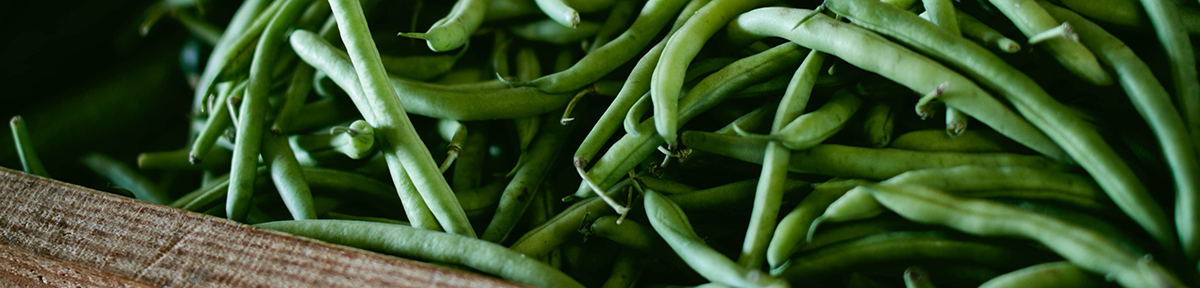 Fresh Veggies